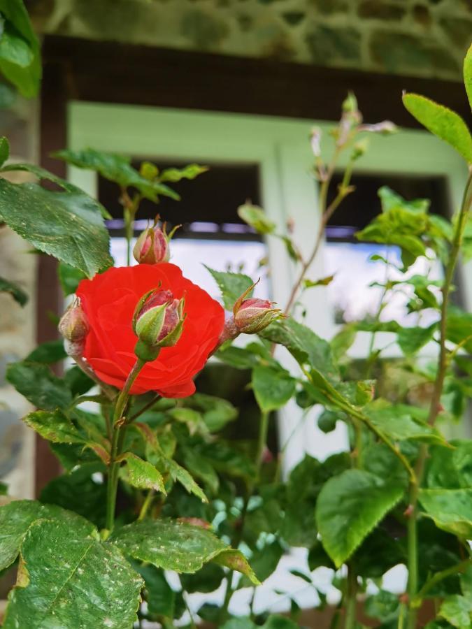 Ferienhaus Eifelrose Simmerath Zewnętrze zdjęcie
