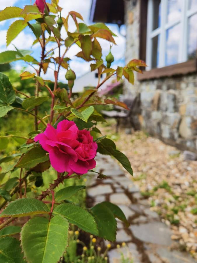 Ferienhaus Eifelrose Simmerath Zewnętrze zdjęcie