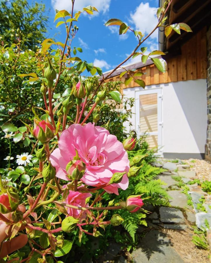 Ferienhaus Eifelrose Simmerath Zewnętrze zdjęcie
