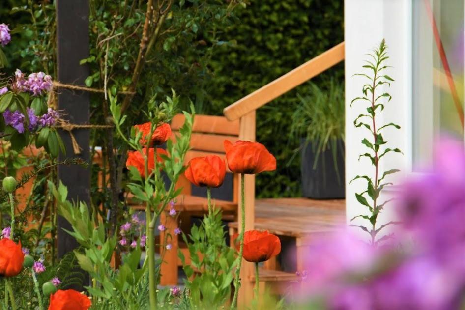 Ferienhaus Eifelrose Simmerath Zewnętrze zdjęcie