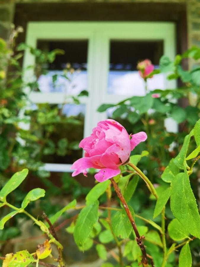 Ferienhaus Eifelrose Simmerath Zewnętrze zdjęcie